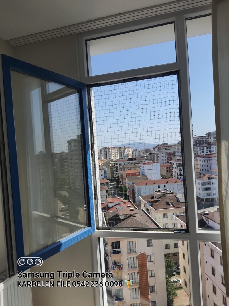 Kedi Güvenlik Filesi - Görsel 27