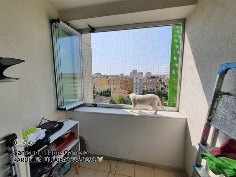 Kedi Güvenlik Filesi - Görsel 29