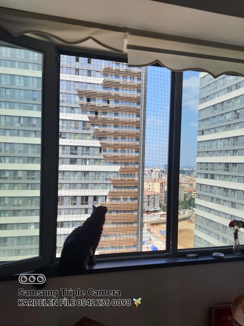 Kedi Güvenlik Filesi - Görsel 31