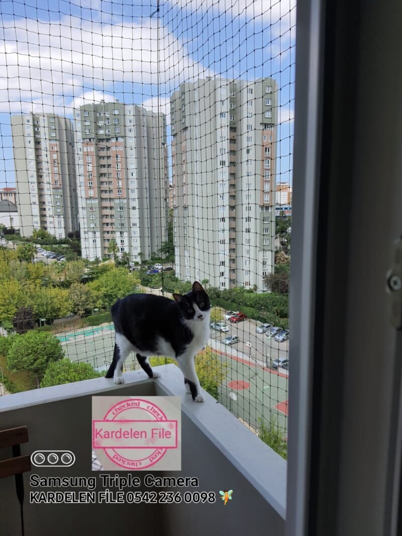 Kedi Güvenlik Filesi - Görsel 19