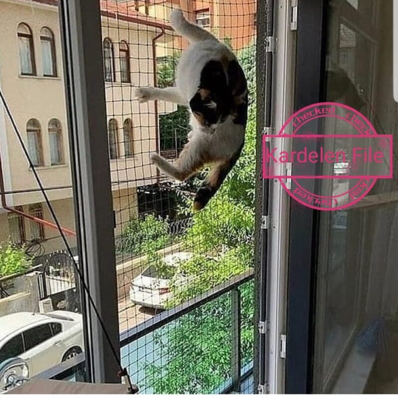 Kedi Güvenlik Filesi - Görsel 21