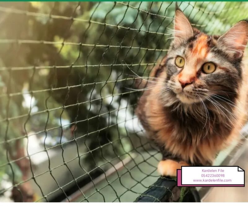 Kedi Güvenlik Filesi - Görsel 34