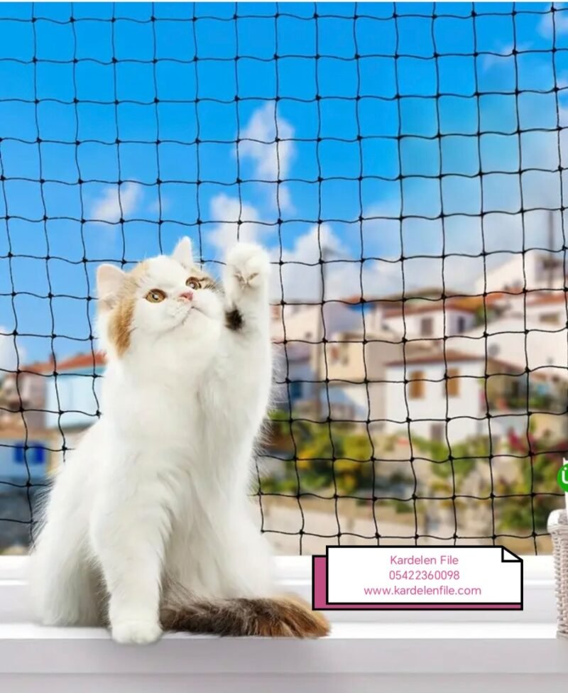 Kedi Güvenlik Filesi - Görsel 33